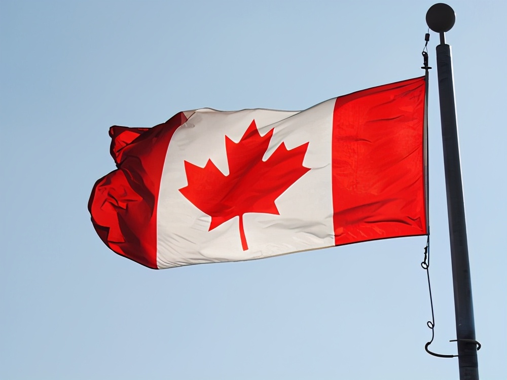 2021年加拿大bc省雇主担保移民项目最新情况详解