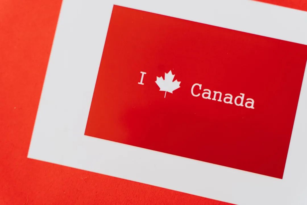 今年移民加拿大哪些项目最靠谱